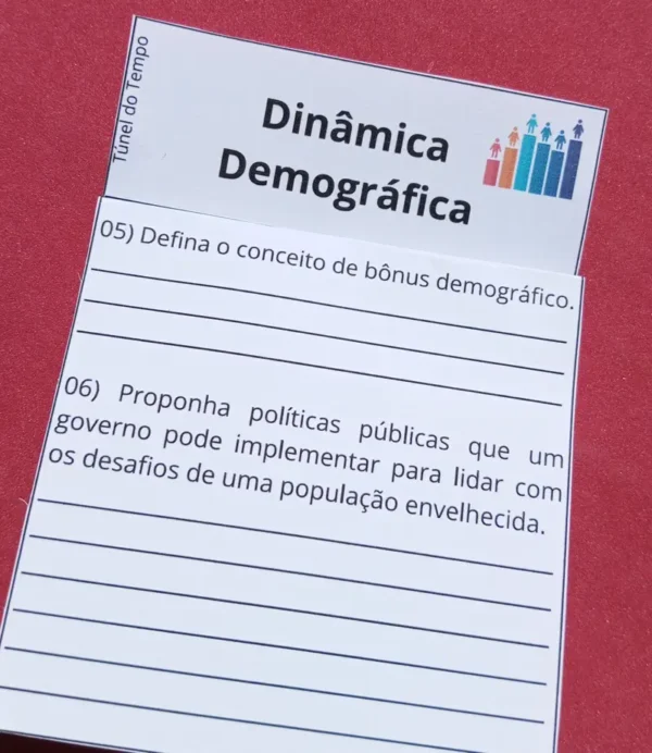 Dinâmica Demográfica - Image 2